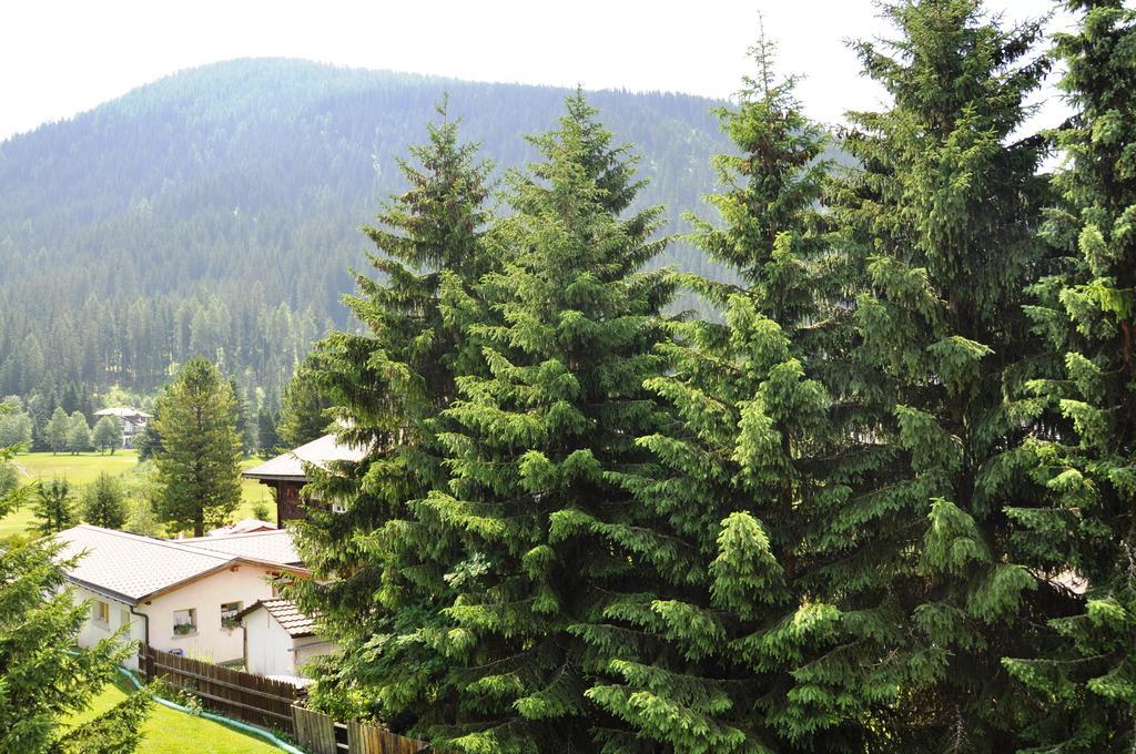 Studio Riedwiese Davos Rum bild