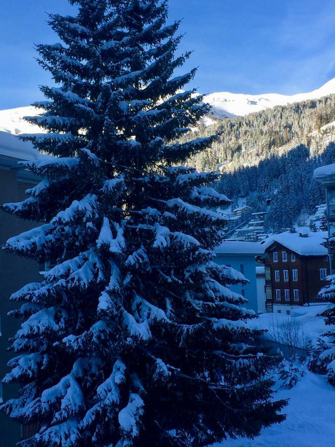 Studio Riedwiese Davos Exteriör bild